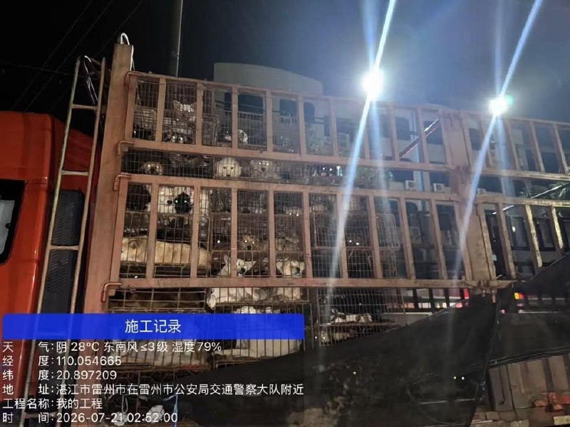 国内首次拦住狗车，500只狗，还是拦住两次，我以为动物保护会有里程碑的胜利，结果呢？志愿者连夜追赶，全群报警，拦下两次，又被警察放行到农业局，说要无害化处理农业局，不让志愿者跟随