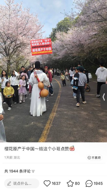 在南京大屠杀纪念馆献樱花，评论区马上就让你知道樱花到底是哪国的了感谢家人们投稿！