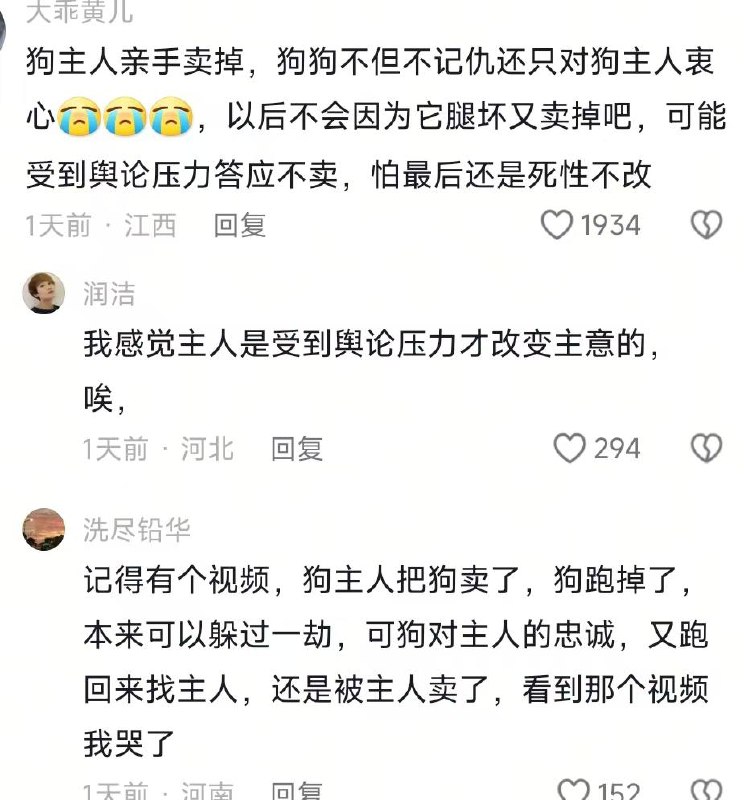 发布者：去接孩子放学的学校门口 有一只腿瘸的母狗孕育着四只狗宝宝 听说是过年买来准备吃的 打的时候自己逃出去了 结果生了四只小狗宝 其中一只体弱的已经去了汪星球了 旁边的学生家长都说早知道就带点饭来了 这么可怜还在哺乳期呢 天又这么冷 有阿姨在打电话问朋友要不要收养小狗 希望狗妈妈能遇到好心人收养吧！在城西小学二部门口 #流浪狗发布者：去接孩子放学的学校门口 有一只腿瘸的母狗孕育着四只狗宝宝 听说是过年买来准备吃的 打的时候自己逃出去了 结果生了四只小狗宝 其中一只体弱的已经去了汪星球了 旁边的学生家长都说早知道就带点饭来了 这么可怜还在哺乳期呢 天又这么冷 有阿姨在打电话问朋友要不要收养小狗 希望狗妈妈能遇到好心人收养吧！在城西小学二部门口 #流浪狗