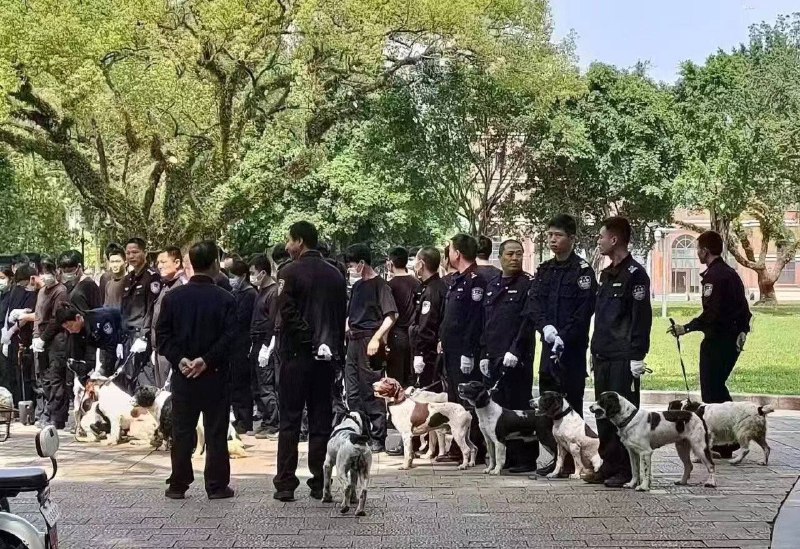 中山大学今天的警犬 #马克龙