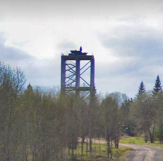 #普京 住所 曝光，12套防空系统保护，专用铁路通向 情妇 住处 据自由电台援引卫星图像报道，普京在瓦尔代的住所周围安装了12套防空系统，其中大部分是“铠甲”防空导弹