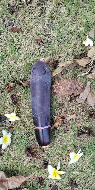 谁的 #男朋友 丢了🤨by 匿名投稿谁的 #男朋友 丢了🤨by 匿名投稿