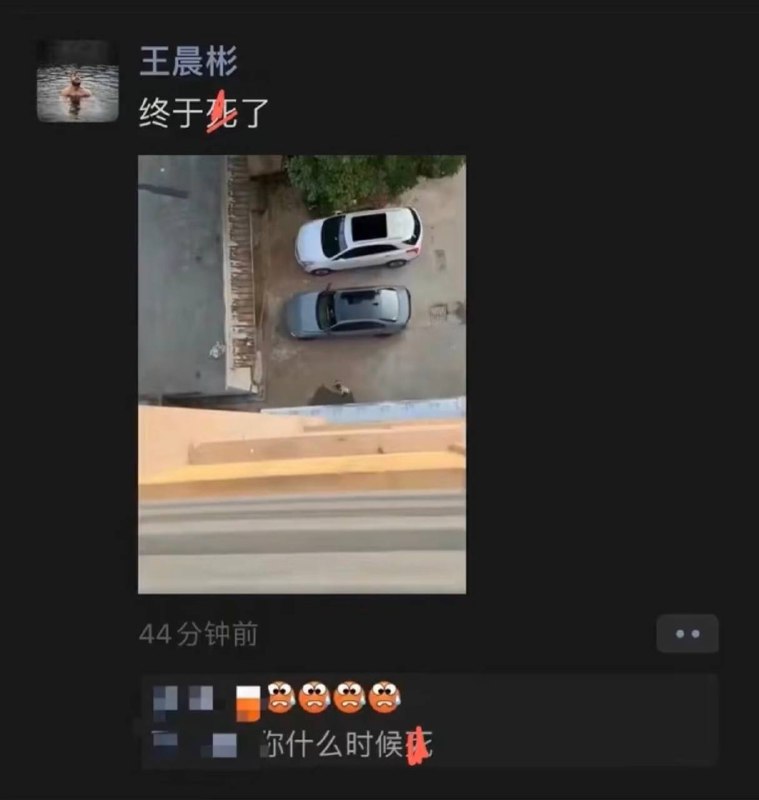 8月17日，浙江绍兴诸暨市警方通报男子高空抛狗：该22岁男子因涉嫌高空抛物罪被诸暨市公安局采取刑事强制措施