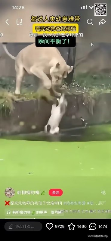 感谢家人们投稿！感谢家人们投稿！