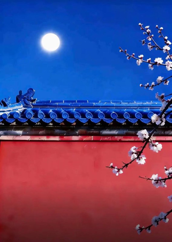 由于大陆自媒体上不能发中华民国的青天白日旗，广大网友发挥聪明才智，制作近似图片逃避监管，这几幅图赢得了高赞