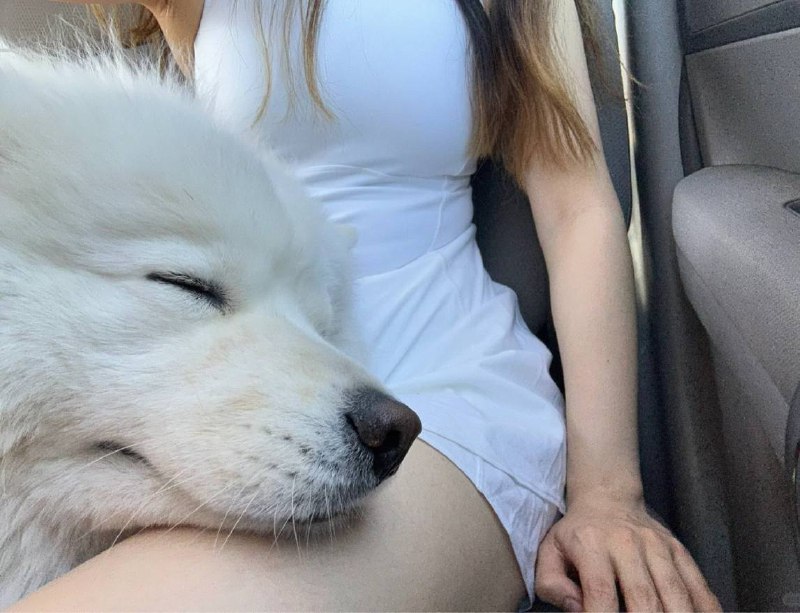 #美女图 #合集 👀#美女图 #合集 👀