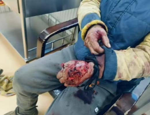 11月18日 监控 黑龙江 勃利 县长太村，，发现有野生 东北虎 入村