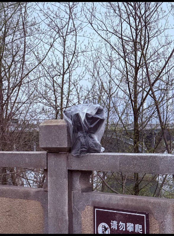 3月17日，橘子洲大桥